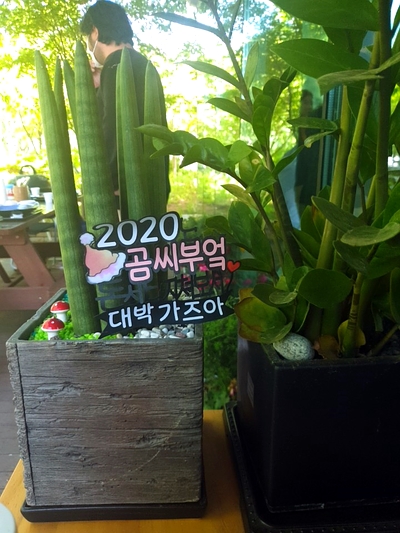 곰씨부엌 이미지