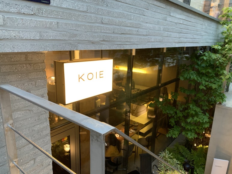 코이에(KOIE) 이미지
