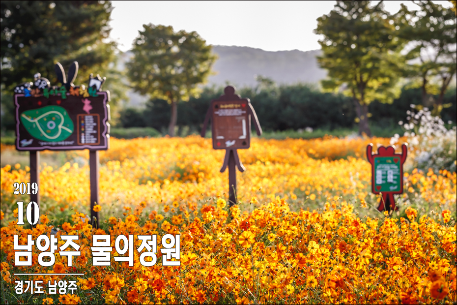 남양 유아숲체험원 이미지