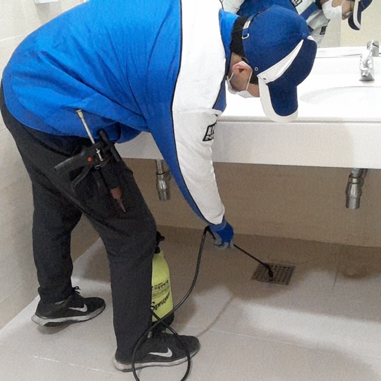 세기위생방역공사 이미지