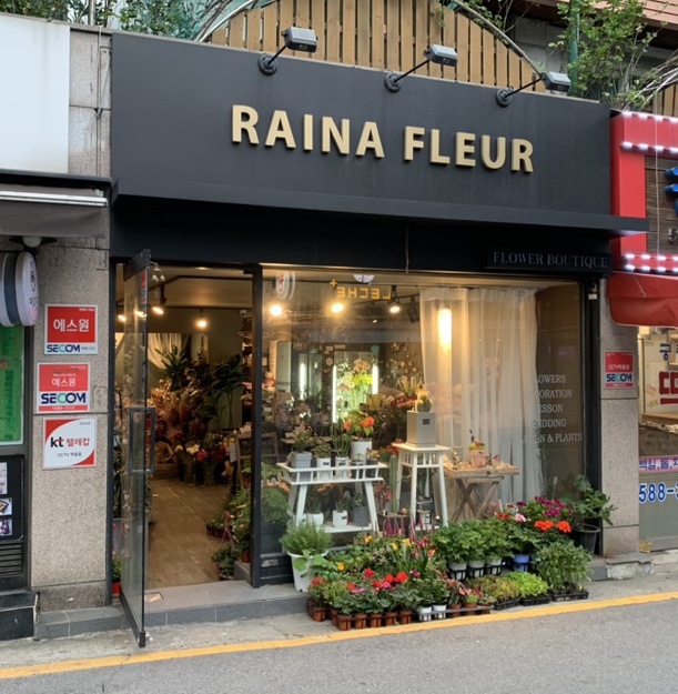 레이나플레르 이미지