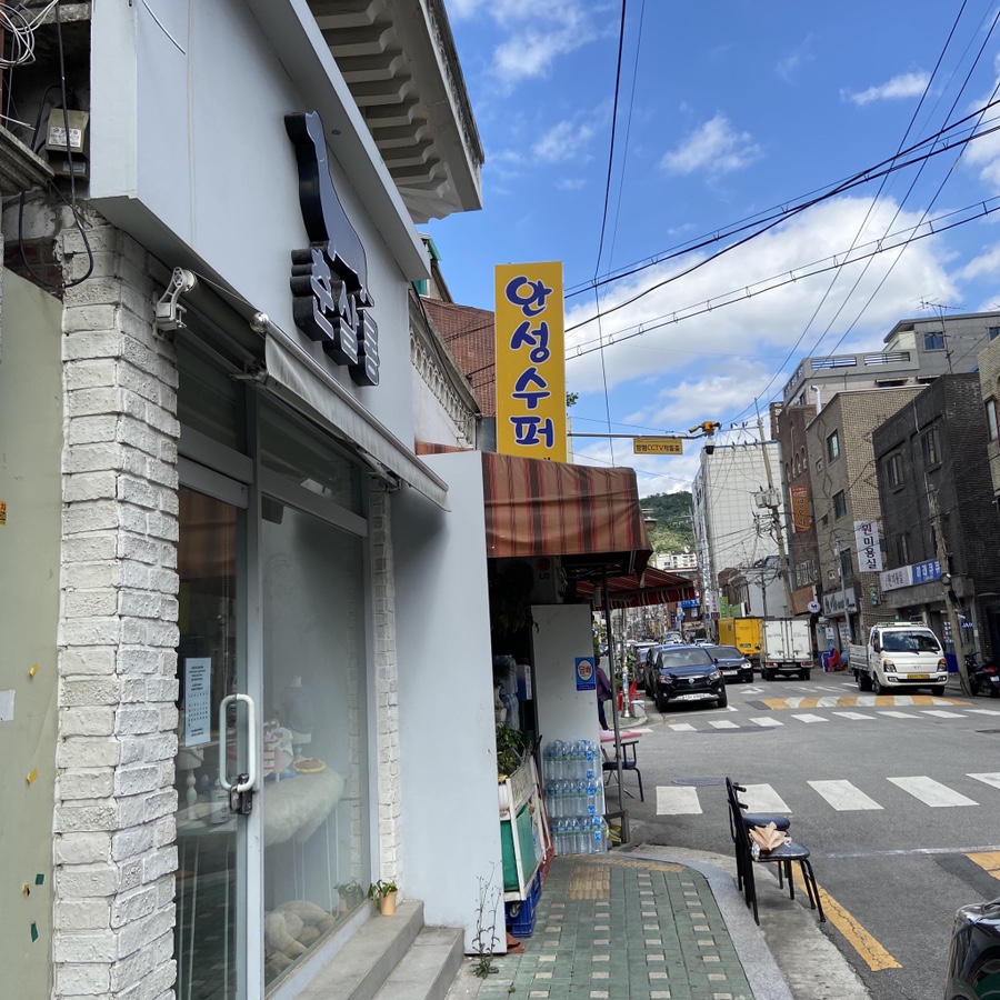 춘살롱 이미지