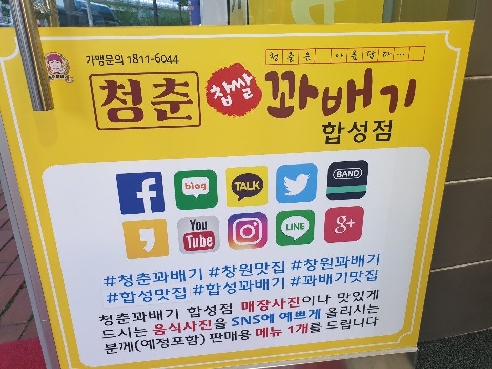 청춘찹쌀꽈배기 이미지
