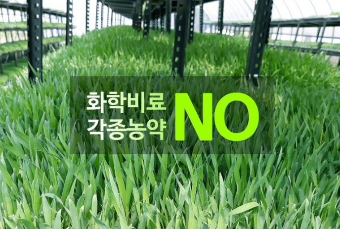 자연농 푸드 이미지