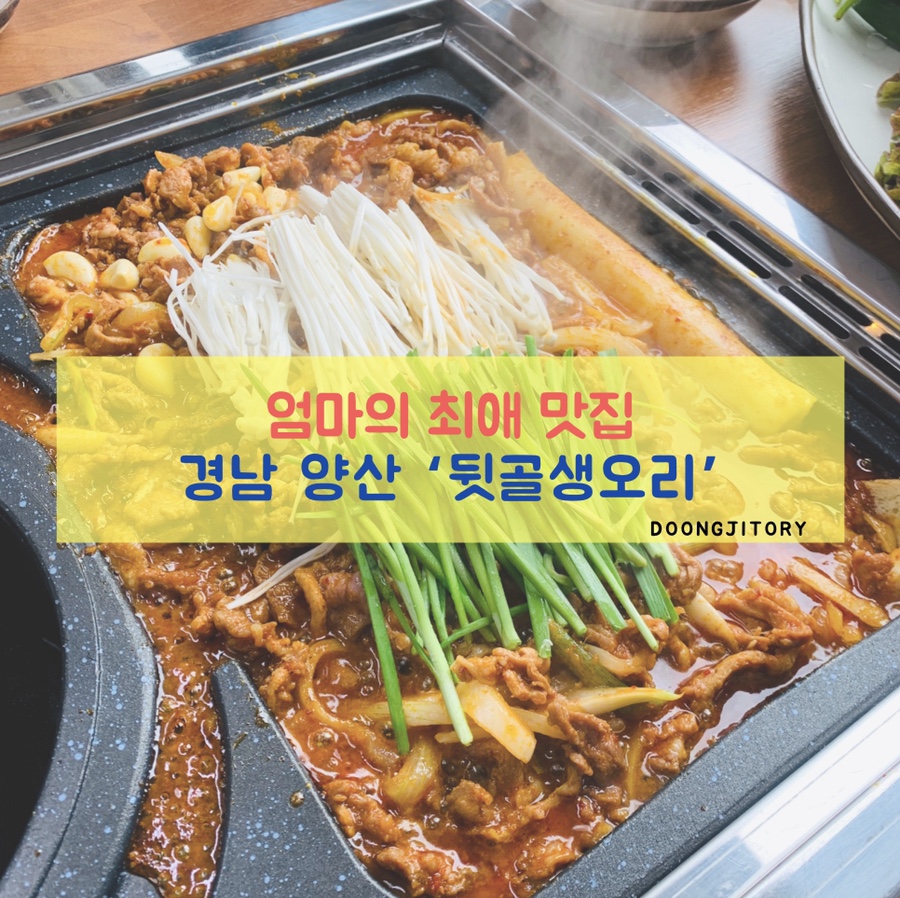 둥지생오리 이미지