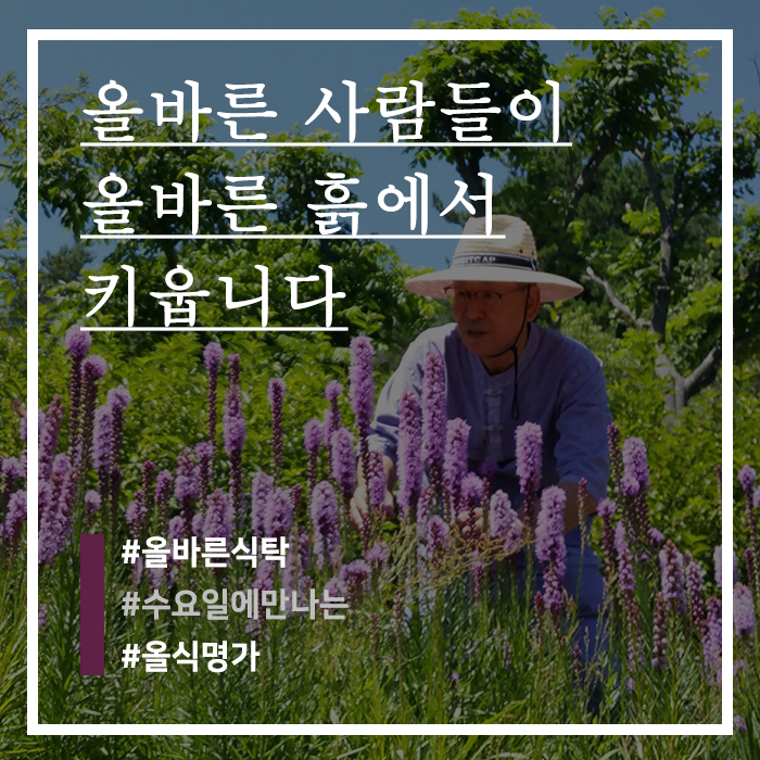 (주)들산초 이미지