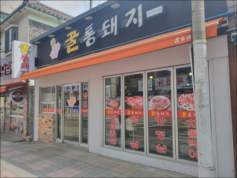 꿀통돼지 이미지