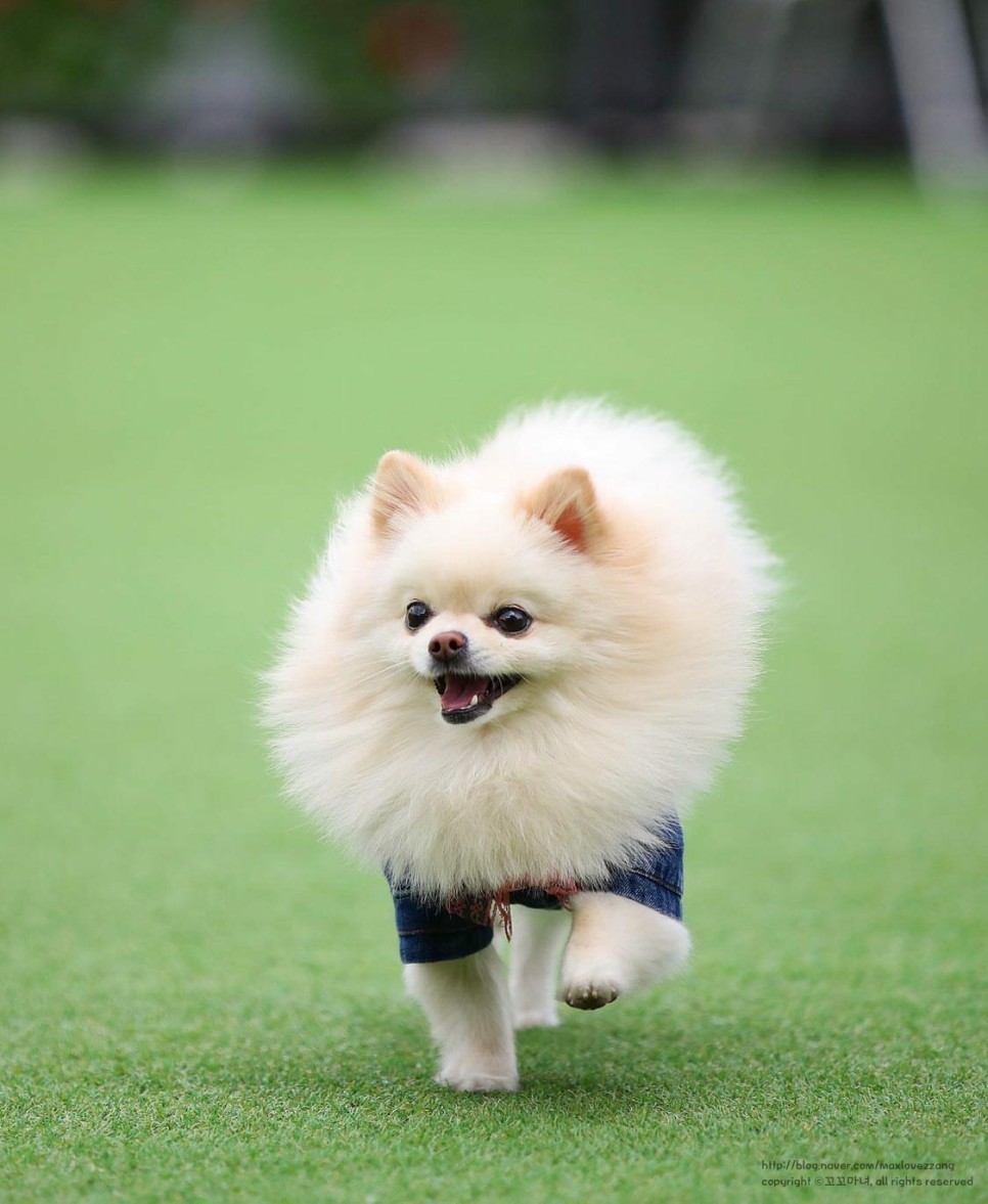 카페브루하하 이미지