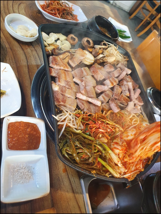 꿀통돼지 이미지