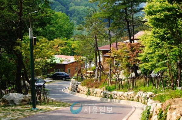 옥성자연휴양림 이미지