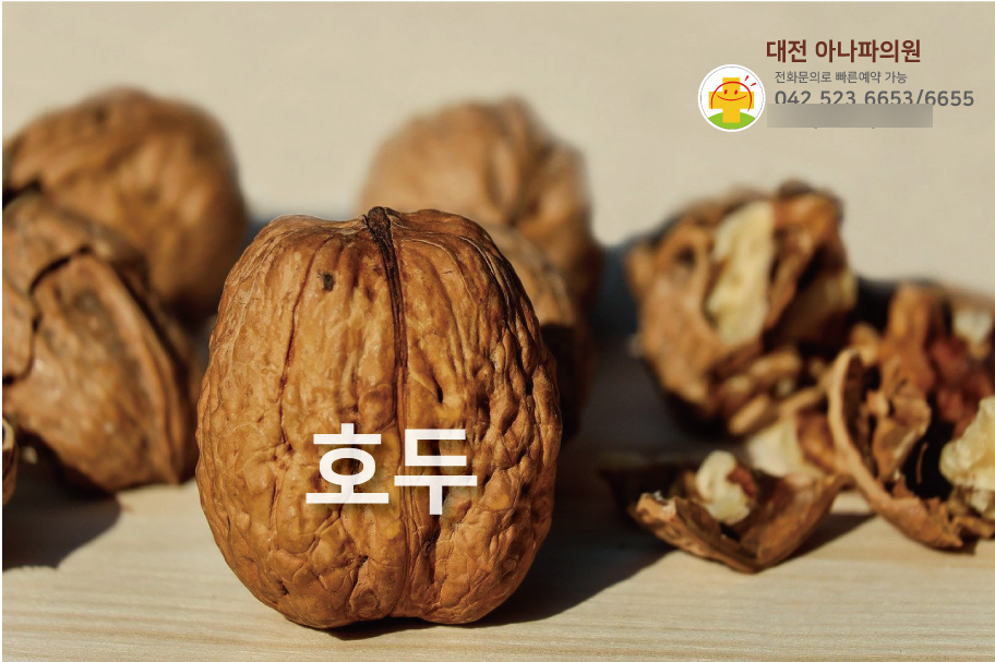 아나파의원 이미지
