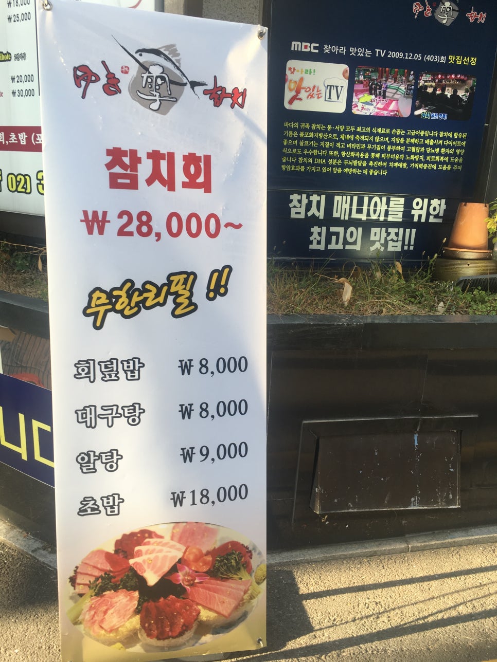 설참치 이미지