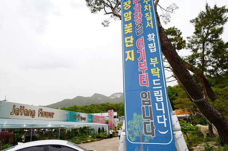 혜성화원 이미지