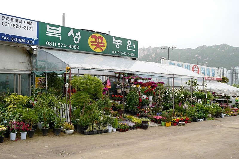 혜성화원 이미지