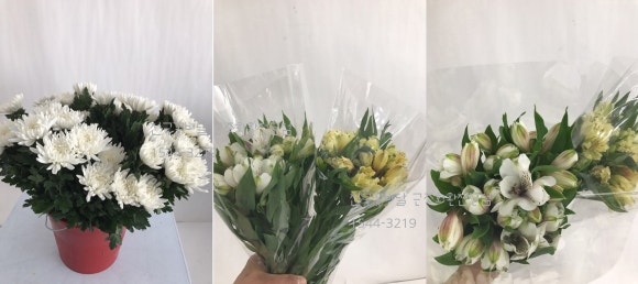천지장례식장근조화환꽃집 이미지