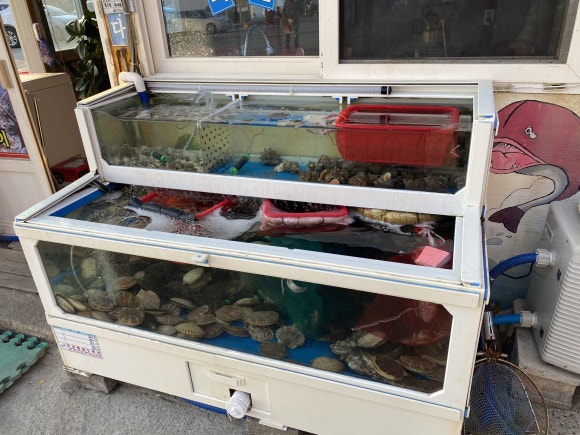 산호조개구이 이미지