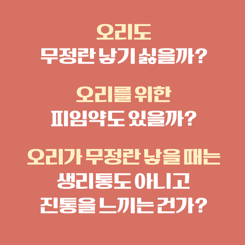 가치컴퍼니 이미지