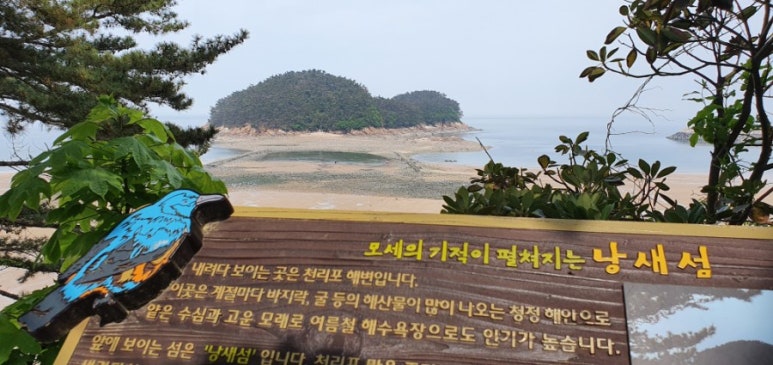 천리포차 이미지