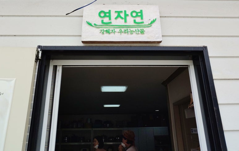 연자연 이미지