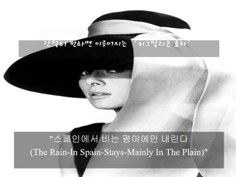 버나드컨설팅 이미지