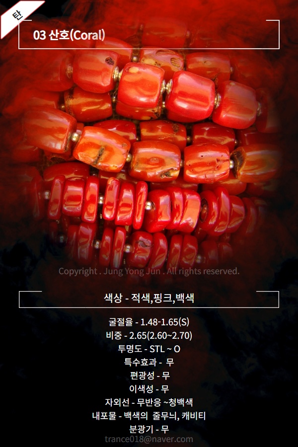 산호유통 이미지