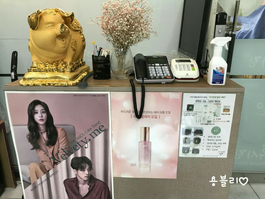 태후사랑평 이미지