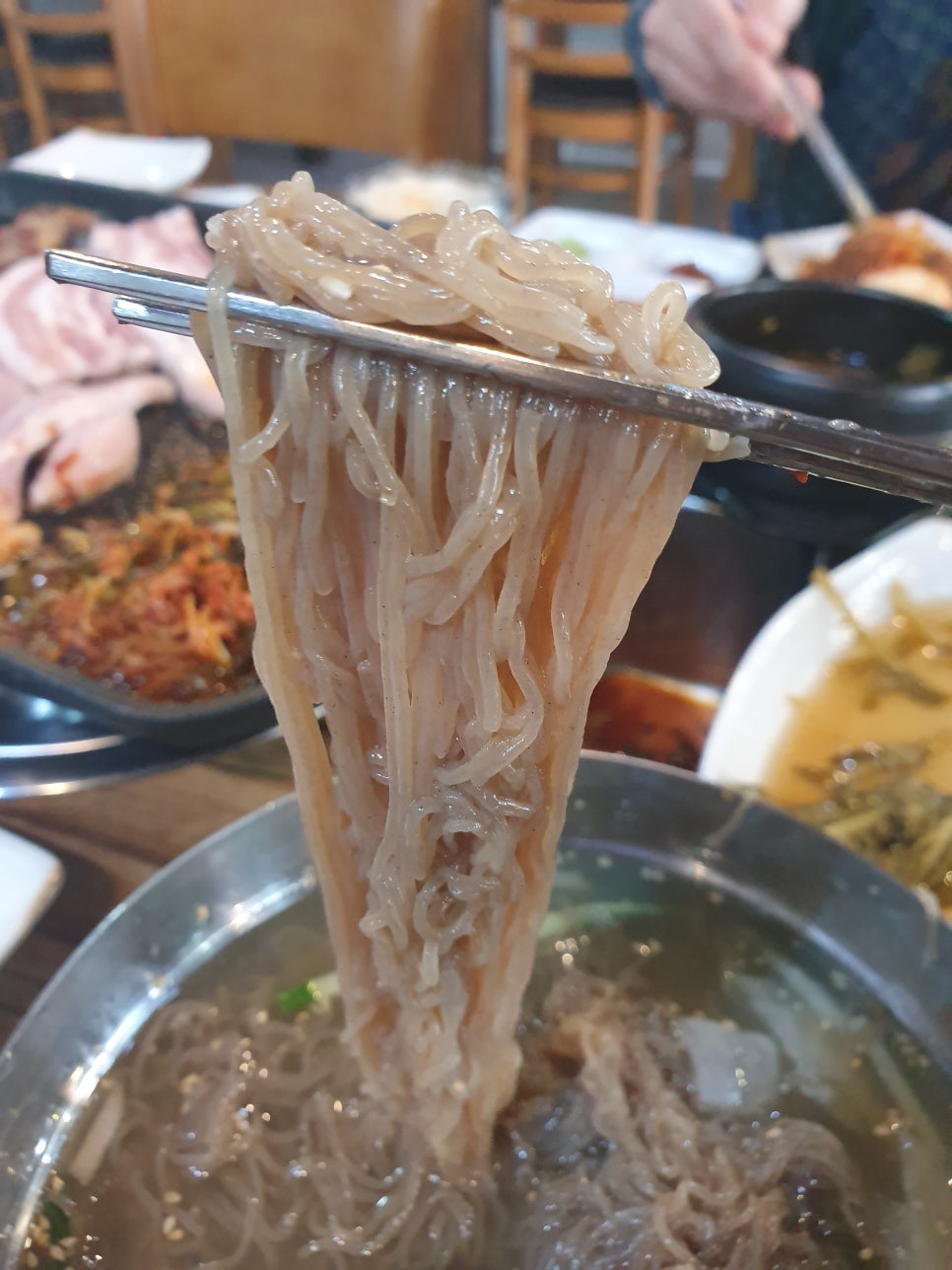 꿀통돼지 이미지