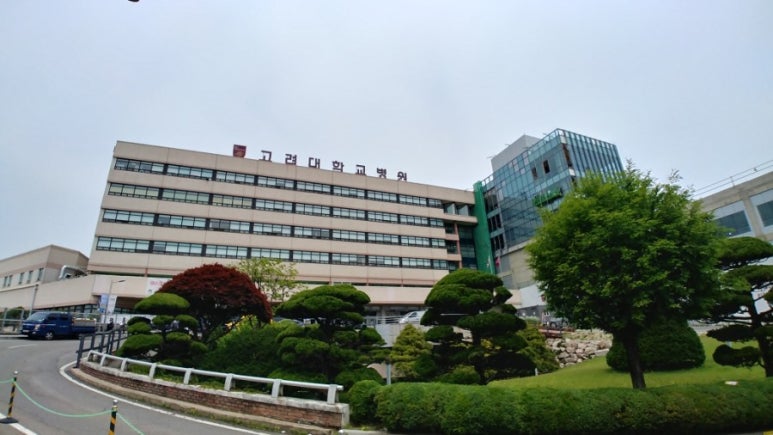 고려대학교 안암병원 이미지