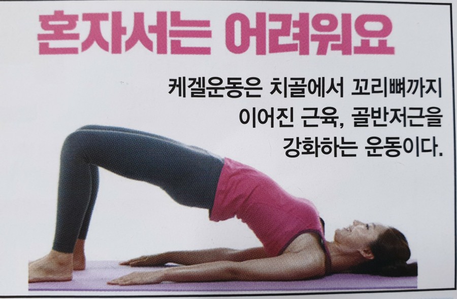바디닥터2 이미지