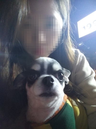 오달자엔꼬꼬비어 이미지