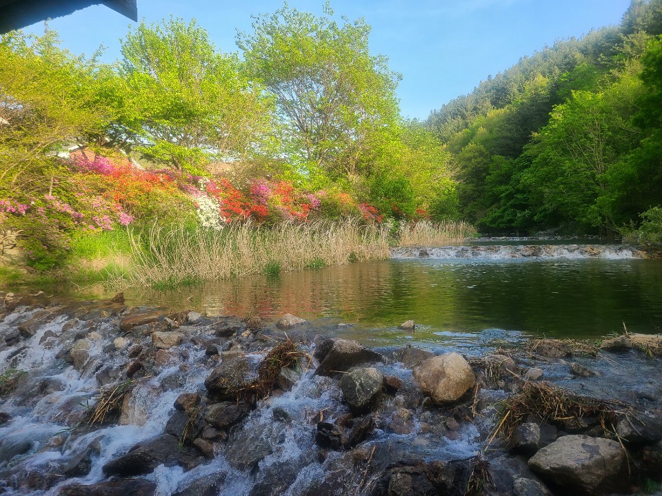산골펜션 이미지