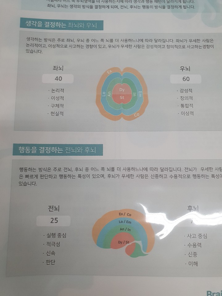 브레인코드 이미지