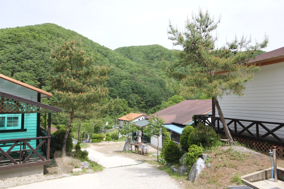 진달래펜션 이미지