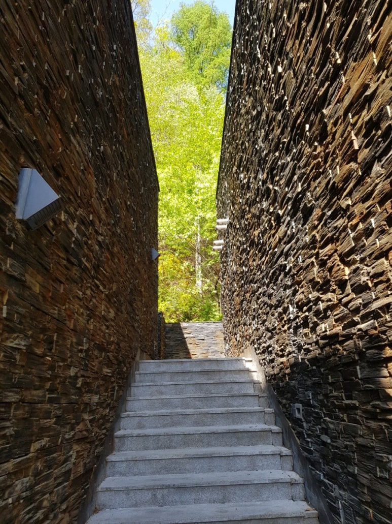 돈포레스트 이미지