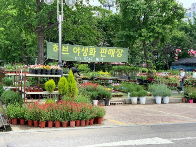 시장꽃도소매 이미지