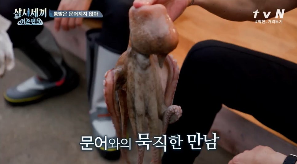 참바다소리 이미지