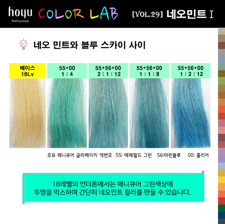 민트랩 이미지