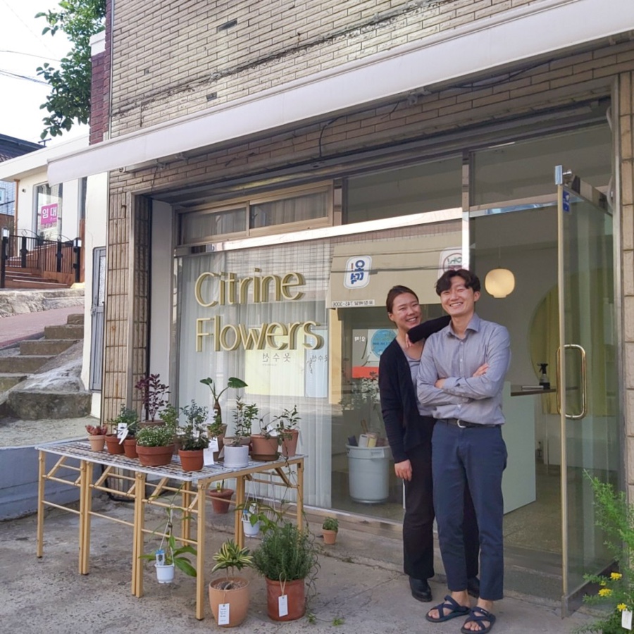 시트린플라워스 이미지