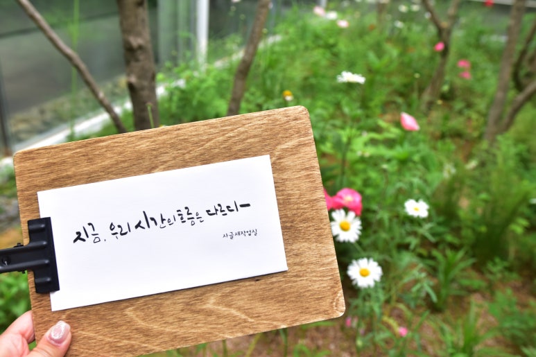 이도캘리그라피 이미지