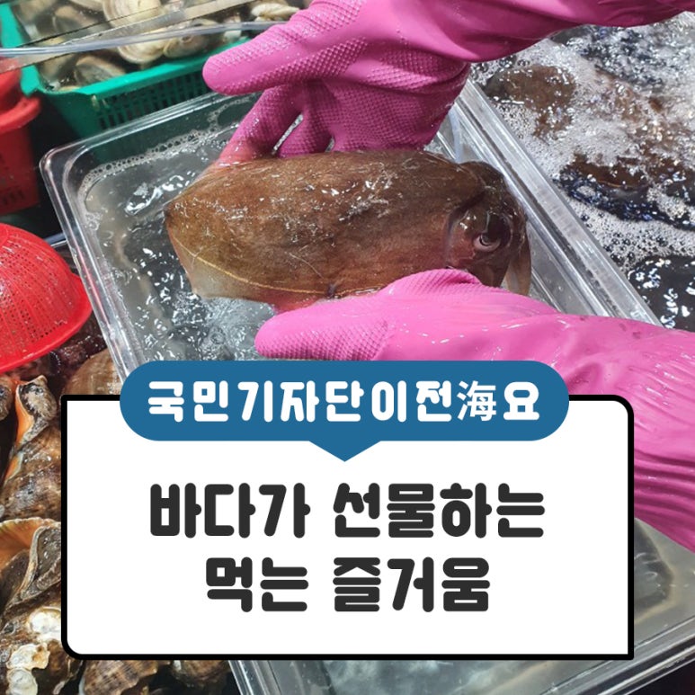 바다의선물 이미지