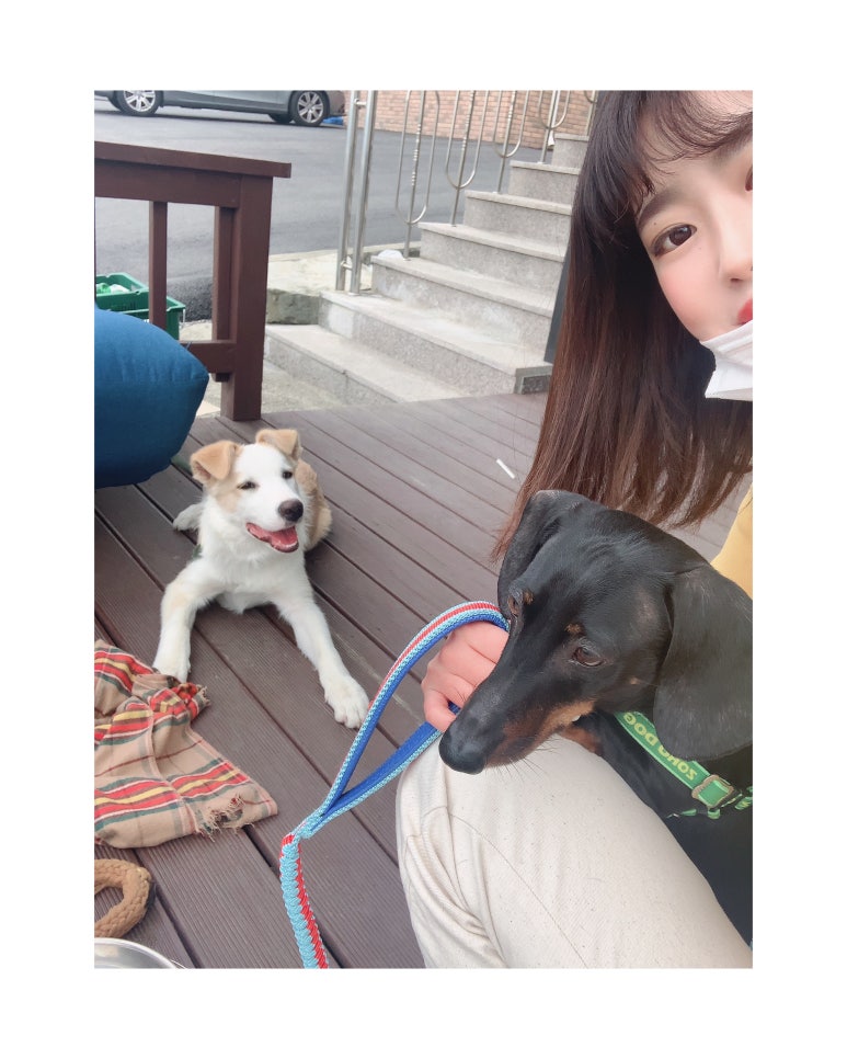 통돼지와도토리 이미지