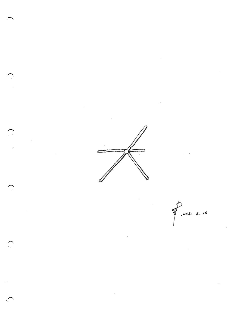 플리아 이미지