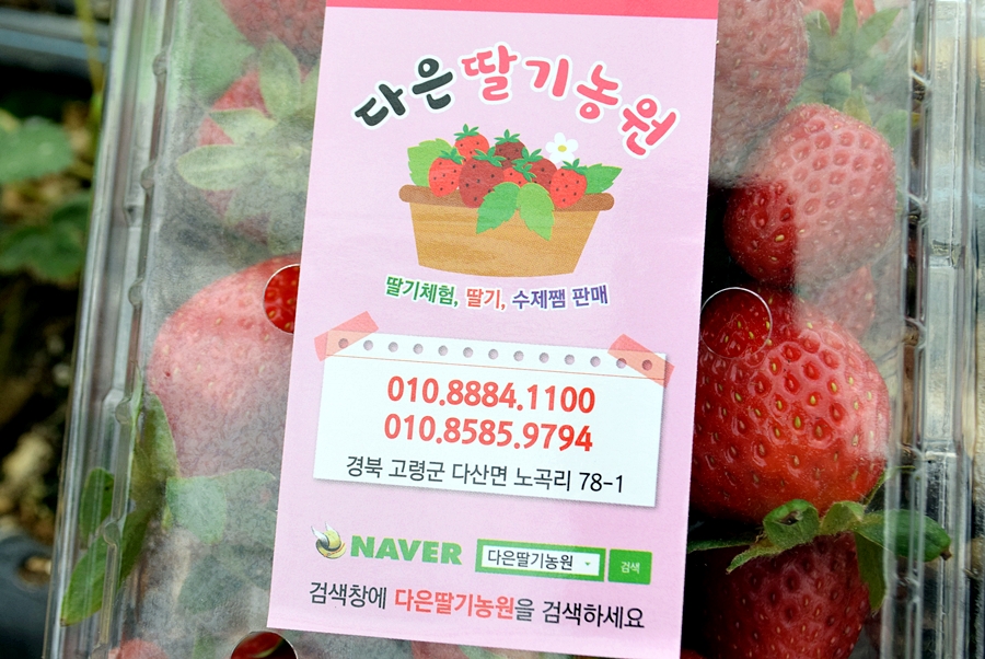 다은농원 이미지