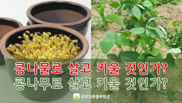 우리가족행복학교 이미지