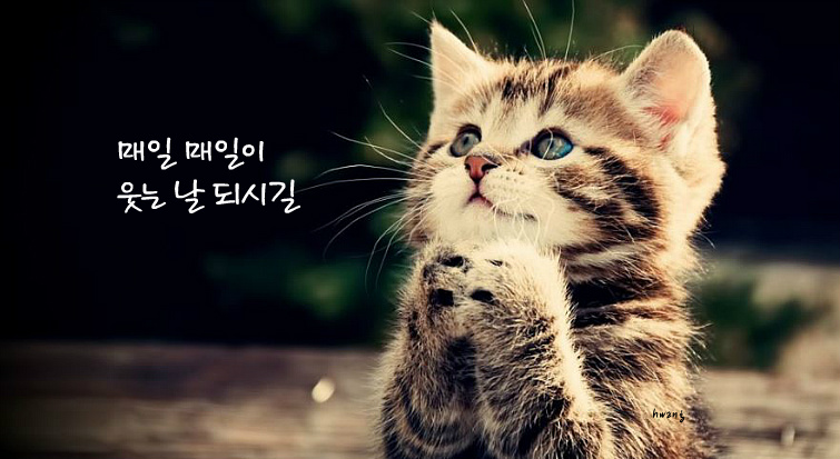 이글스포츠 이미지