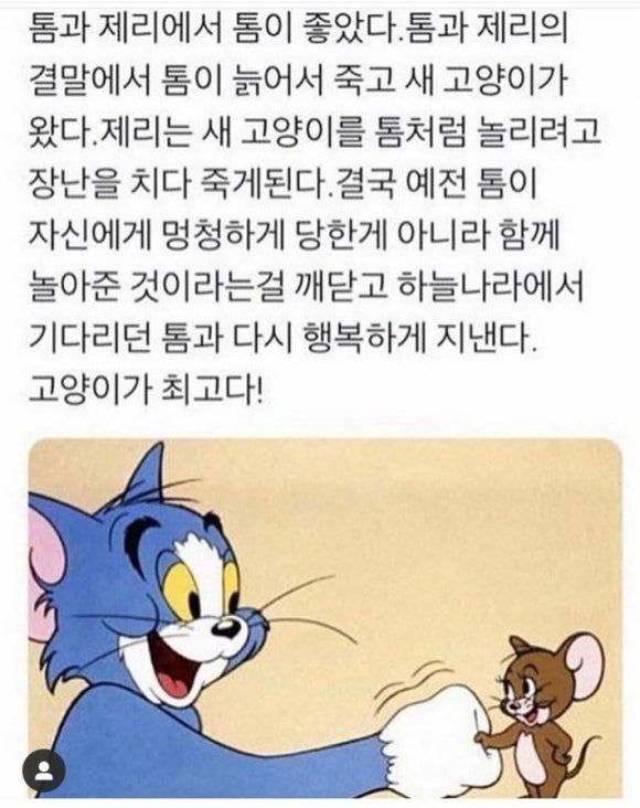 톰과제리 이미지