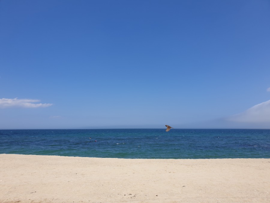 서민횟집 이미지