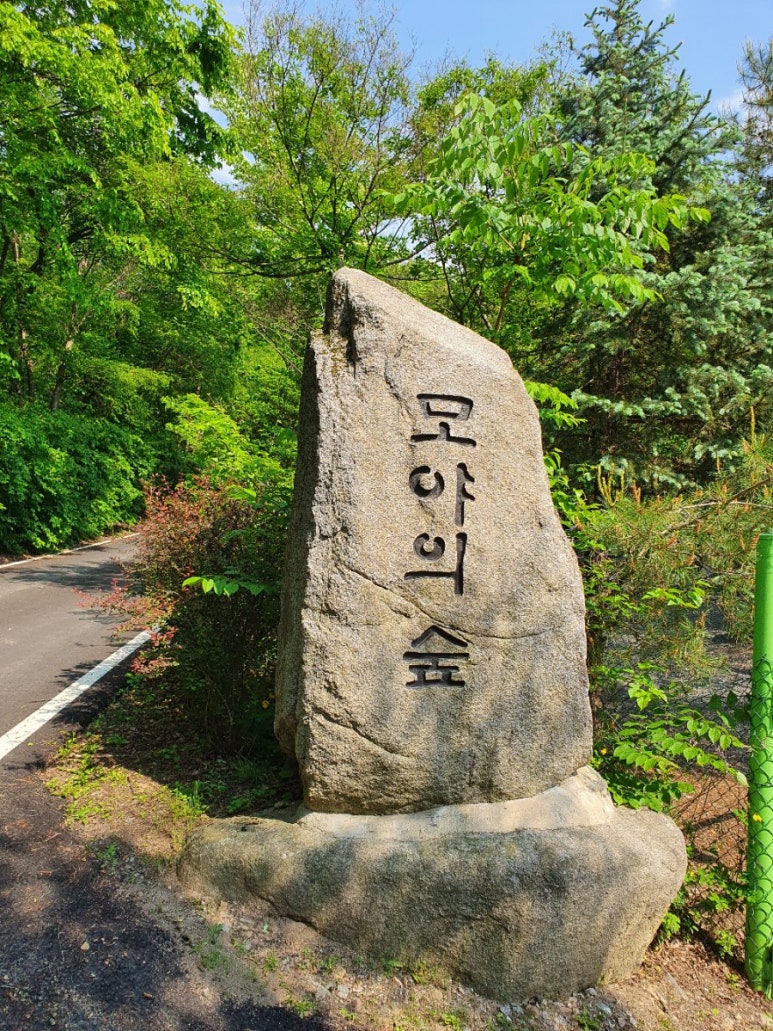 모야의숲캠핑장 이미지