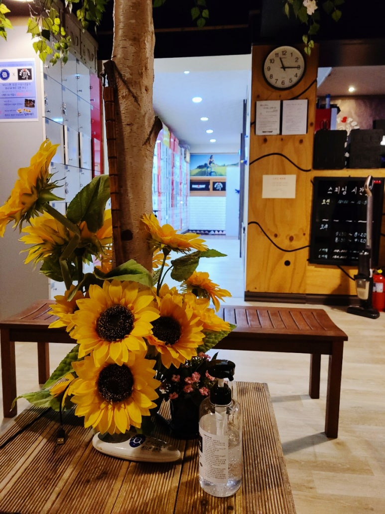 파리바케트( 수원대 ) 이미지