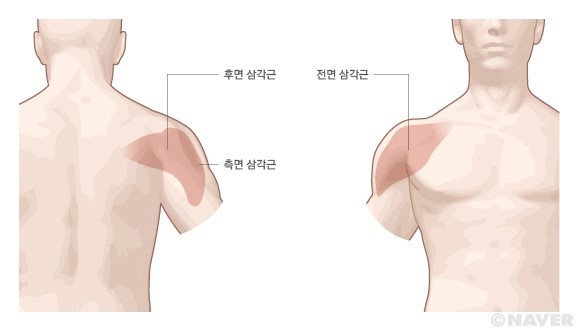 레몬트리짐 이미지